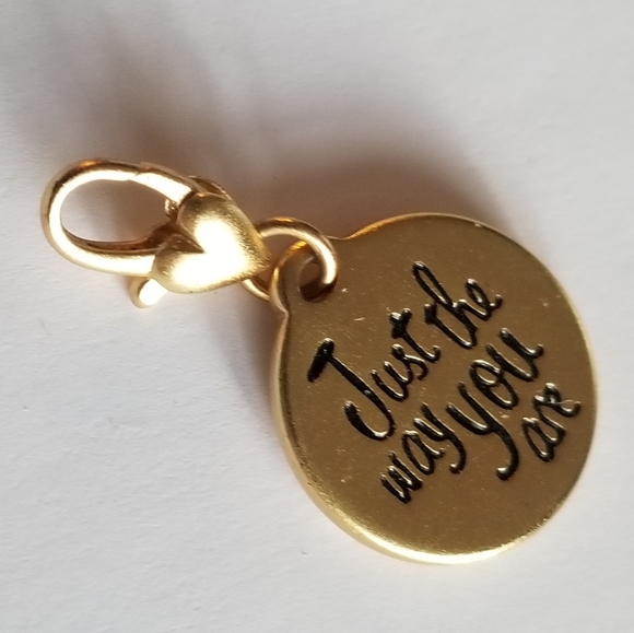 Amanda Blu Autism Puzzle Piece just the way you are clip charm - Picture 7 of 8